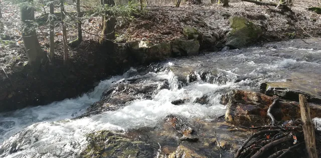 Hochtaunus - Geschäftsstelle Nature Park