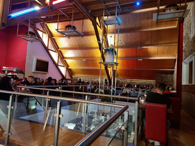 Shinzo sushi lounge grill