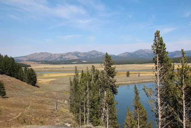 Hayden Valley at Trout Creek