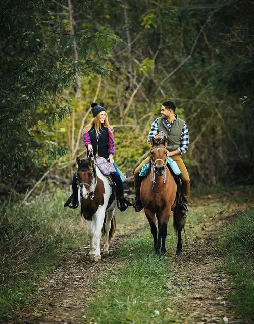 Natchez Trace Stables