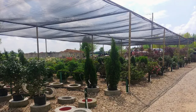 Hesemann Landscape & Supply