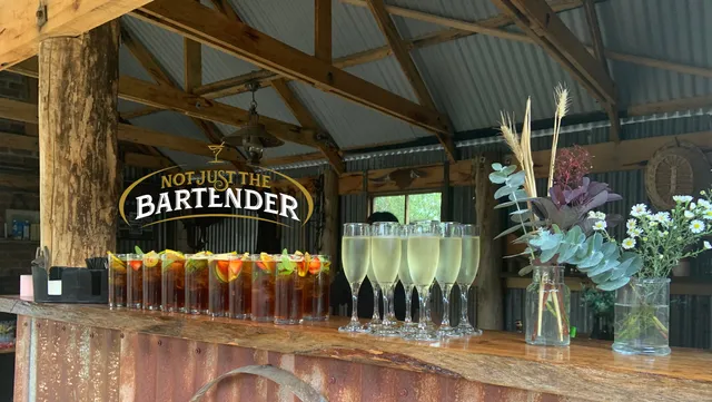 Not Just The Bartender