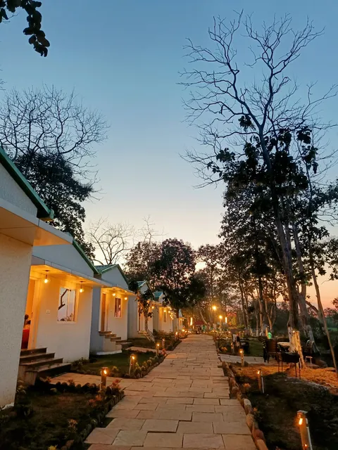 The Golden Woods Resort