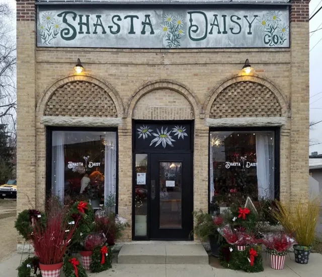 Shasta Daisy Co.