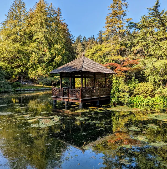 Japanese Garden