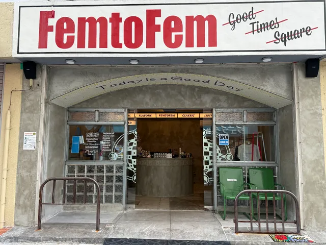 FemtoFem