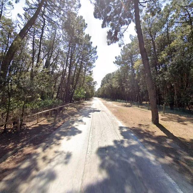 Ristorante Bagno Paradise