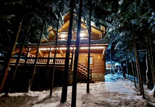 Hostynnyy Dvir Myhovo