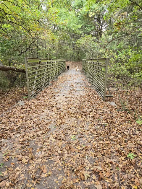 Paul S. Dryer Nature Preserve At Windmill Hill