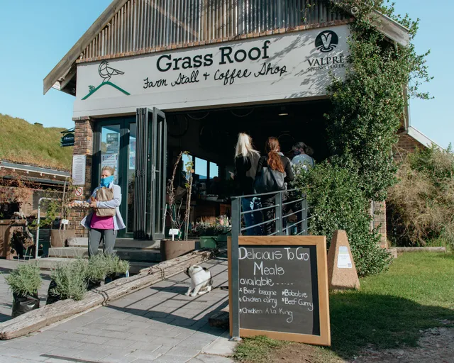 Grass Roof