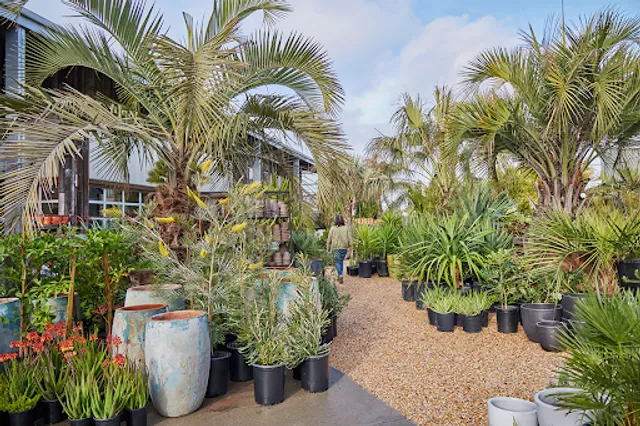 Flora Grubb Gardens Plant Nursery