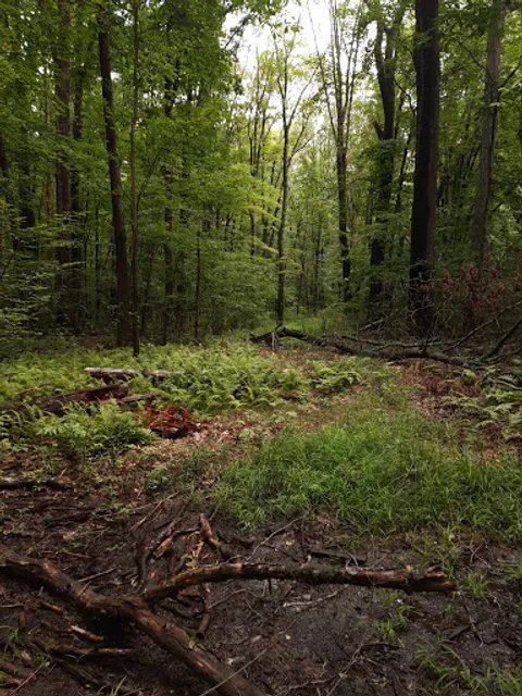 Matianuck Natural Area Preserve