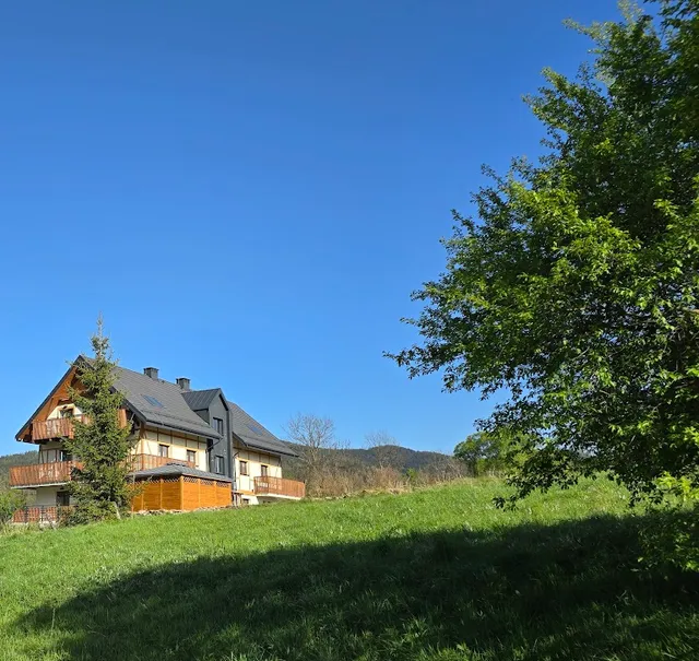 Willa Sowia apartamenty