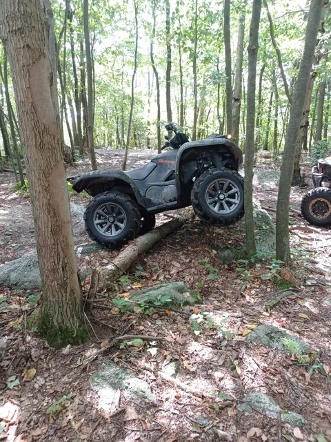 Famous Reading Outdoors