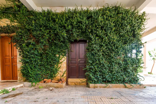 Boustany Guest House