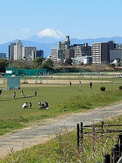 Tamagawa Daishi Bridge Green Space