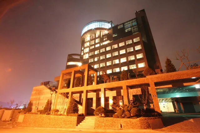 Wiz Hotel Paju