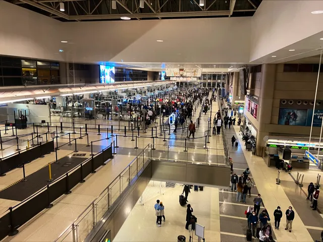 Tom Bradley International