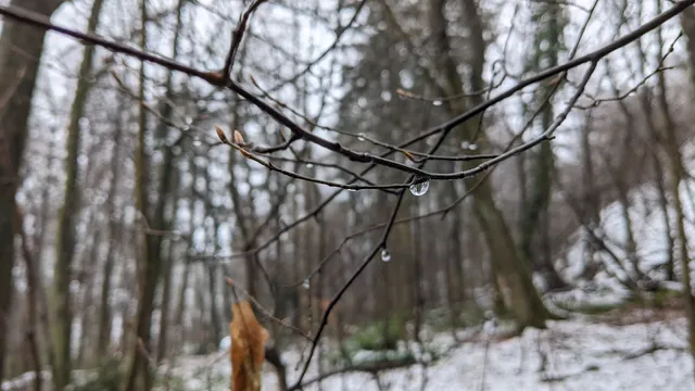 Ferienwohnung Anja im Siebengebirge