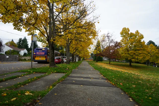 Bryant Playground Park