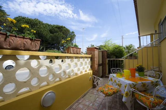 B&B fiori gialli caucana