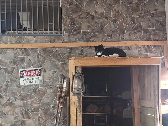 Mine Shaft Rocks and Minerals