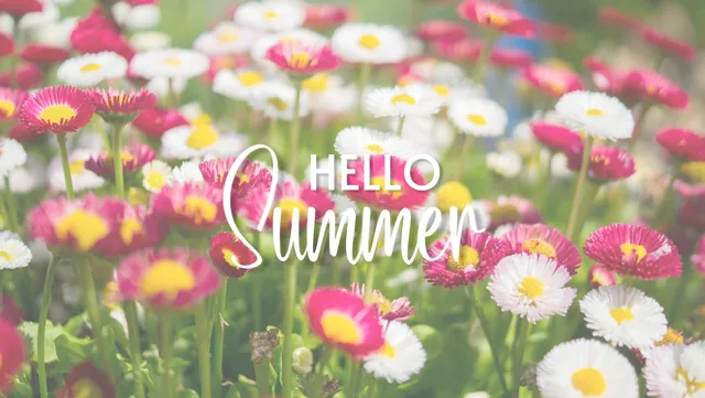 Prairie Friends & Flowers