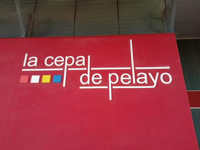 Bodega La Cepa de Pelayo