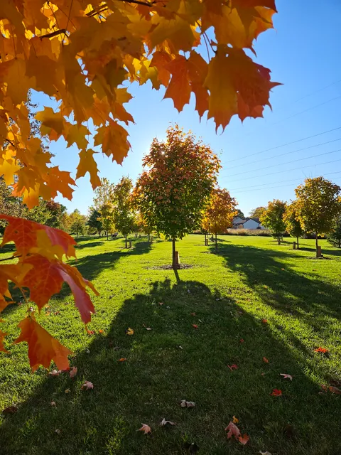 Tomlinson Arboretum - Native Botanical Garden