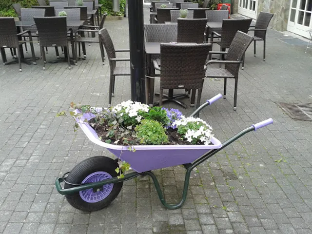 Gewandhaus - Steaks & Mehr | Lounge