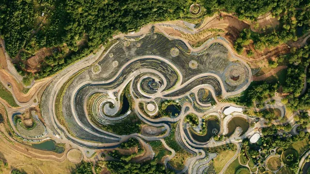 Starry Night Retreat