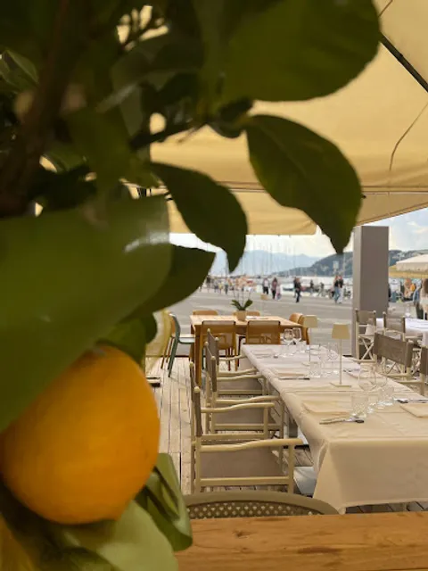 La Conchiglia Di Stella Maurizio & C. Snc