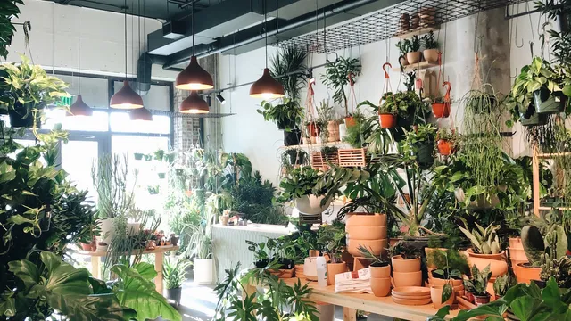 The Victorian Atlanta - Old Fourth Ward