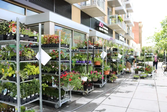 Adams Morgan Ace Hardware