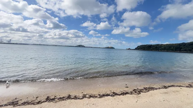 Okahu Bay Beach