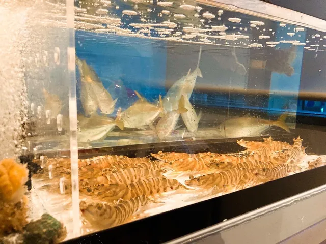 大名やぶれかぶれ二日市店