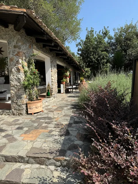 Maison du Reve Scario