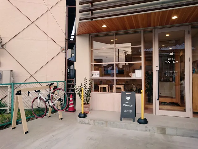 猫カフェ ごろーにゃ