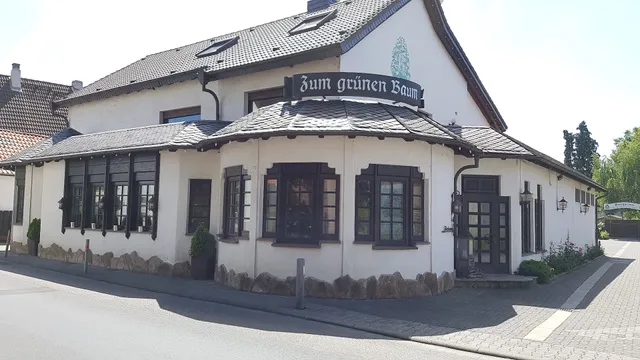 Hotel Grüner Baum