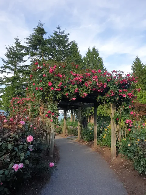 Burnaby Mountain Centennial Rose Garden