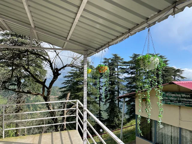 Whispering Wood Camps & Cottages - Stay in Dhanaulti