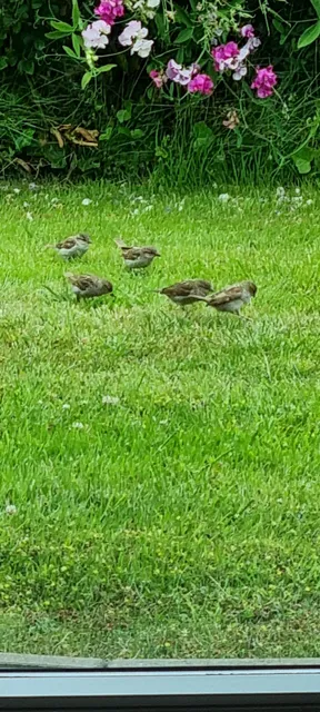 Ferienwohnung Lieblingsnest