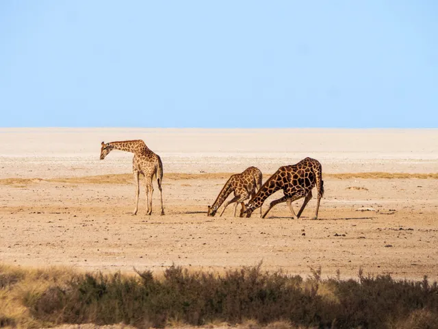 Okondeka (natural waterhole)