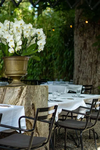 Nick Vollebregt | Jazzy Bar | Bistronomie | Terras