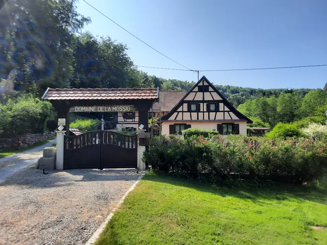 Domaine de la Mossig