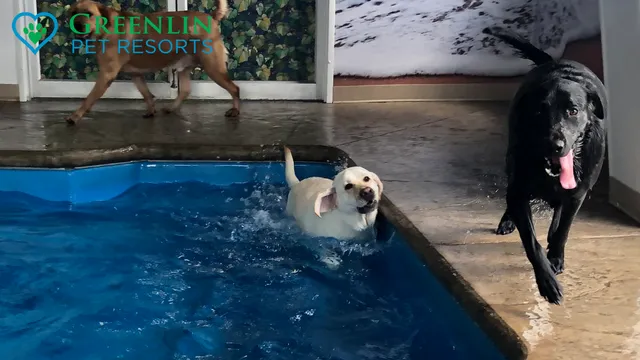 Greenlin Pet Resorts