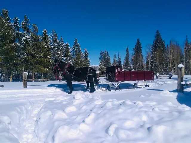Rocky Mountain Stables Horseback Riding and Sleigh Rides