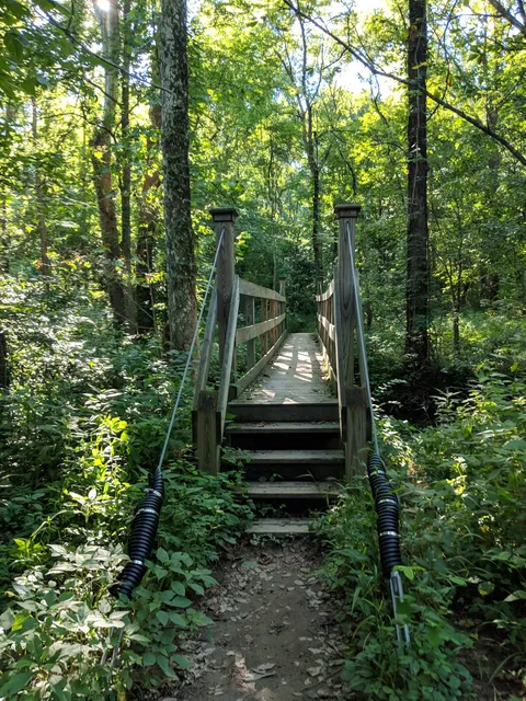 Morgan-Monroe State Forest
