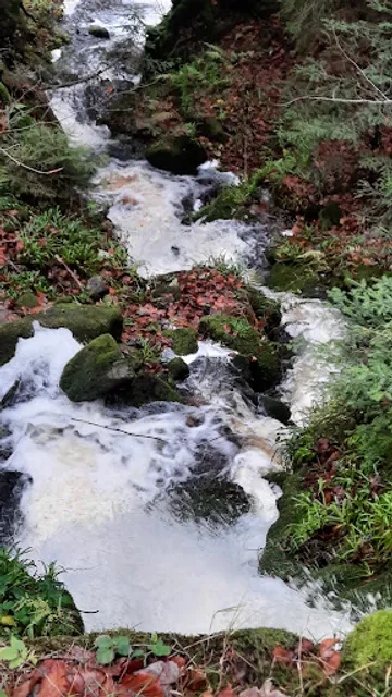 Hotel Dollenberg ·Kaminstube