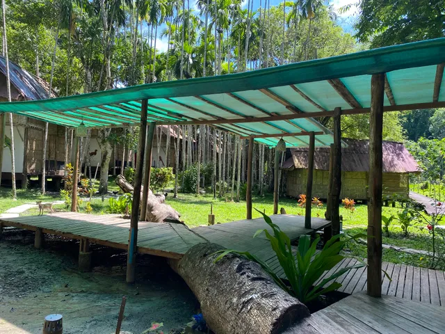 The Forest Elephant - Formerly known as the Flying Elephant